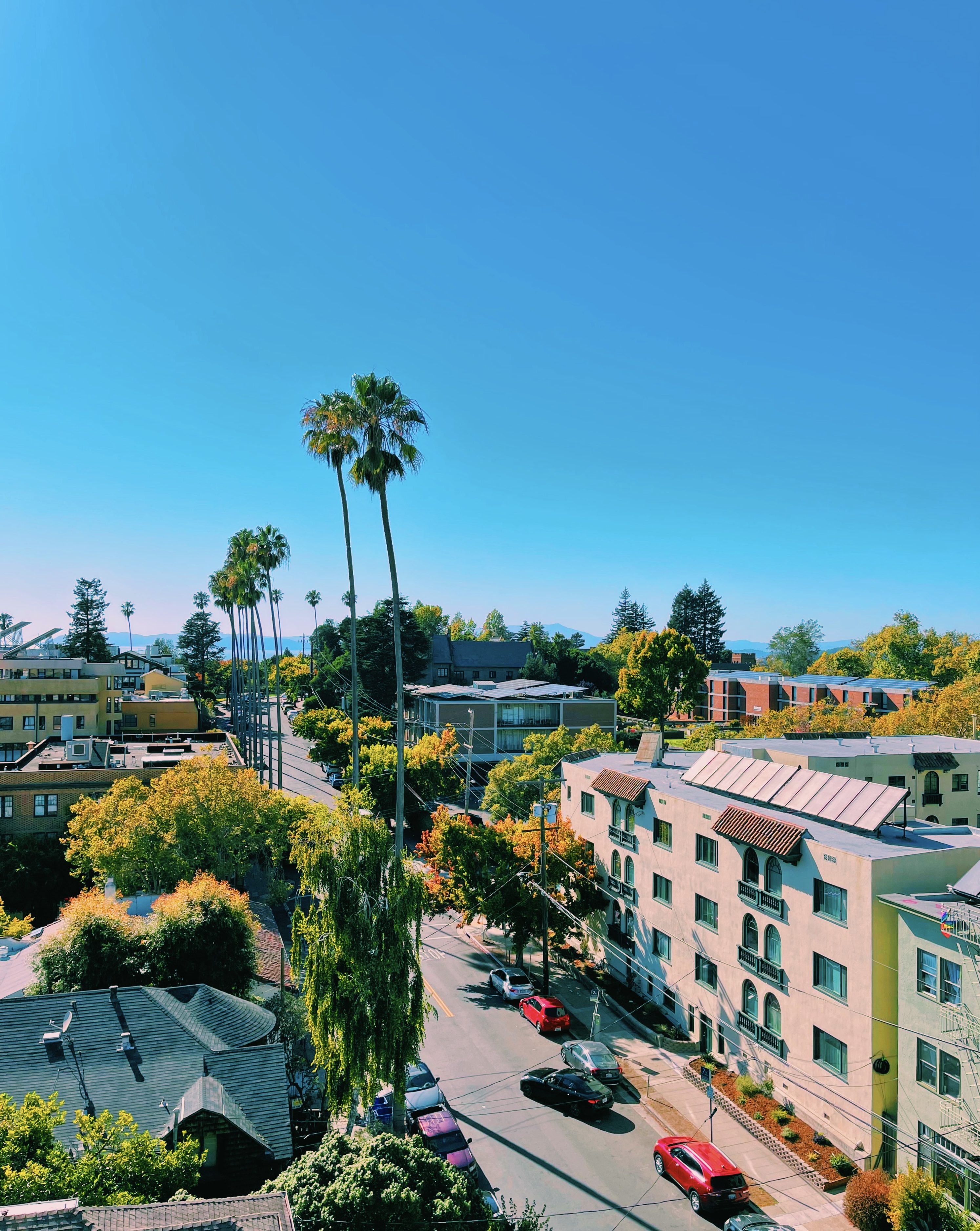 Berkeley View